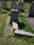 image of grave number 453080